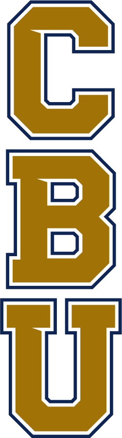 California Baptist Lancers 2017-Pres Wordmark Logo v6 DIY iron on transfer (heat transfer)